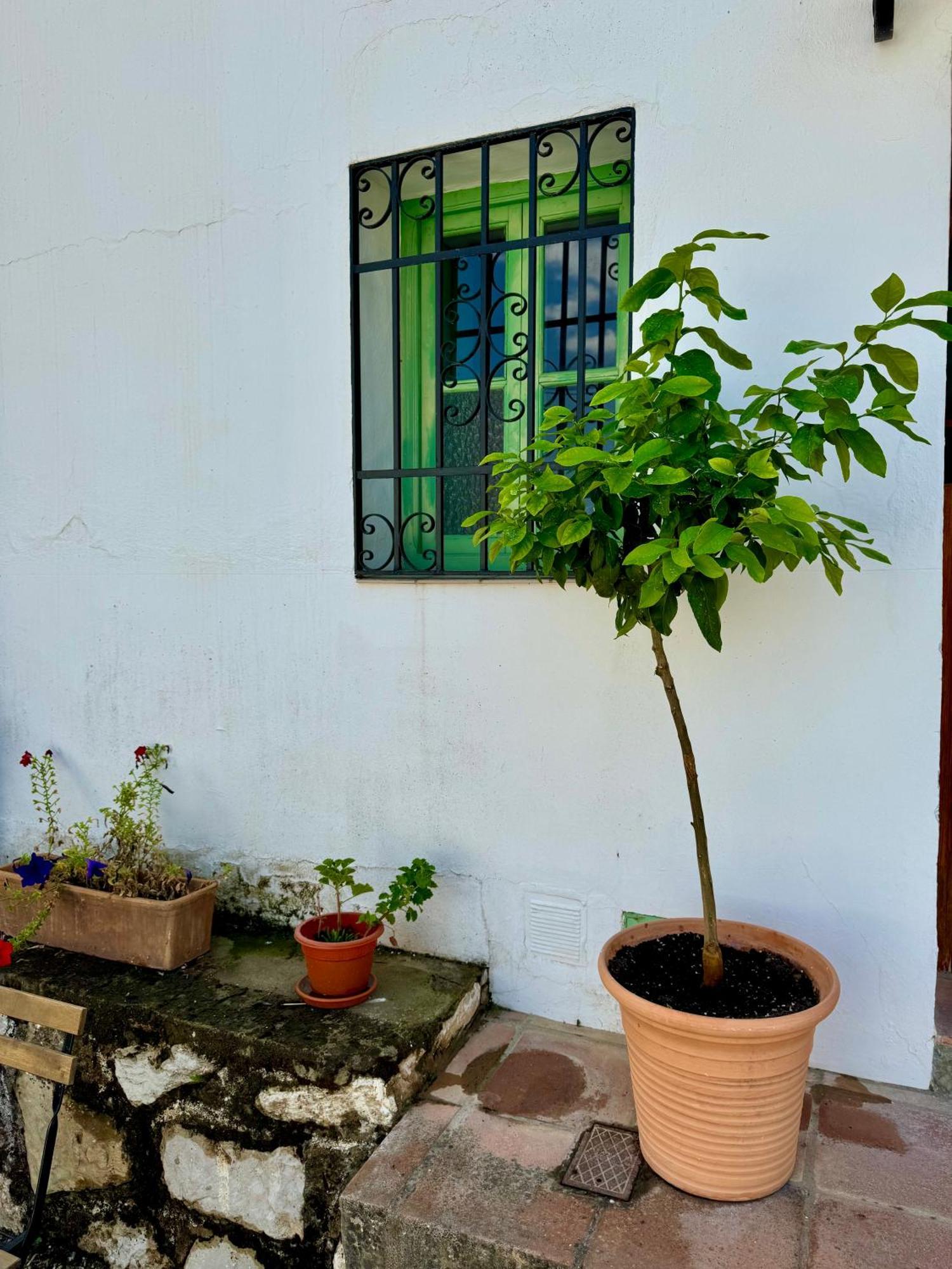 Casa Leon Βίλα Montejaque Εξωτερικό φωτογραφία